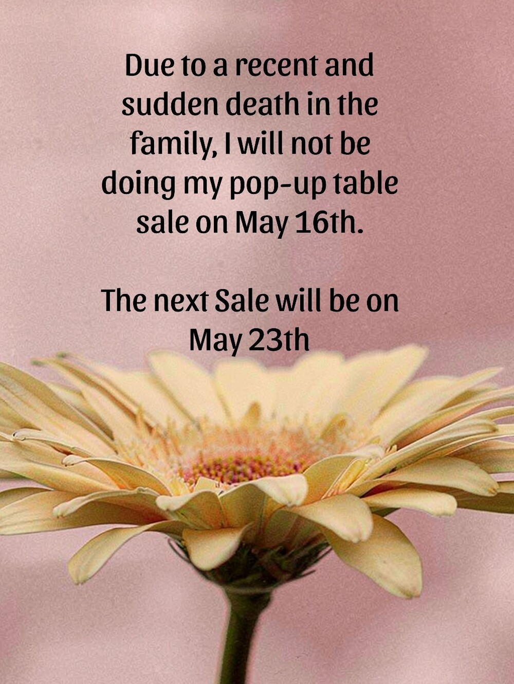 Pop Up Sale Cancelled